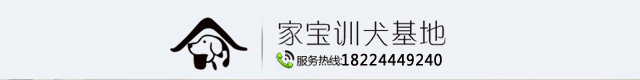 四川家宝宠物服务有限公司