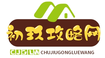 初玖攻略网