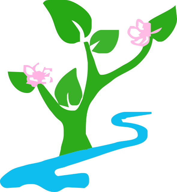 花海果乡