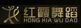 大连开发区舞蹈培训