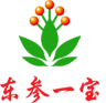 吉林一宝人参股份有限公司