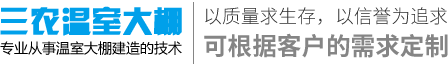 温室大棚搭建厂家