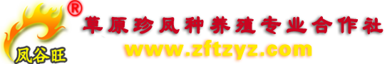 内蒙古乌拉特草原珍凤野生动物养殖场