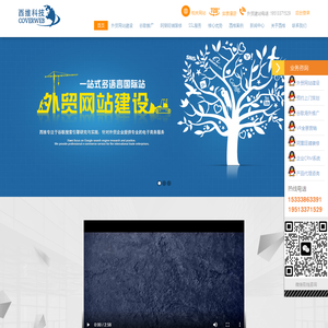 10年专业外贸营销型网站建设