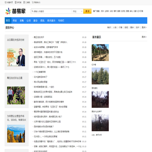 苗木中国网