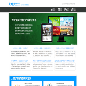 大踏步信息科技